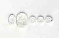 guild stamp early guild stamp early