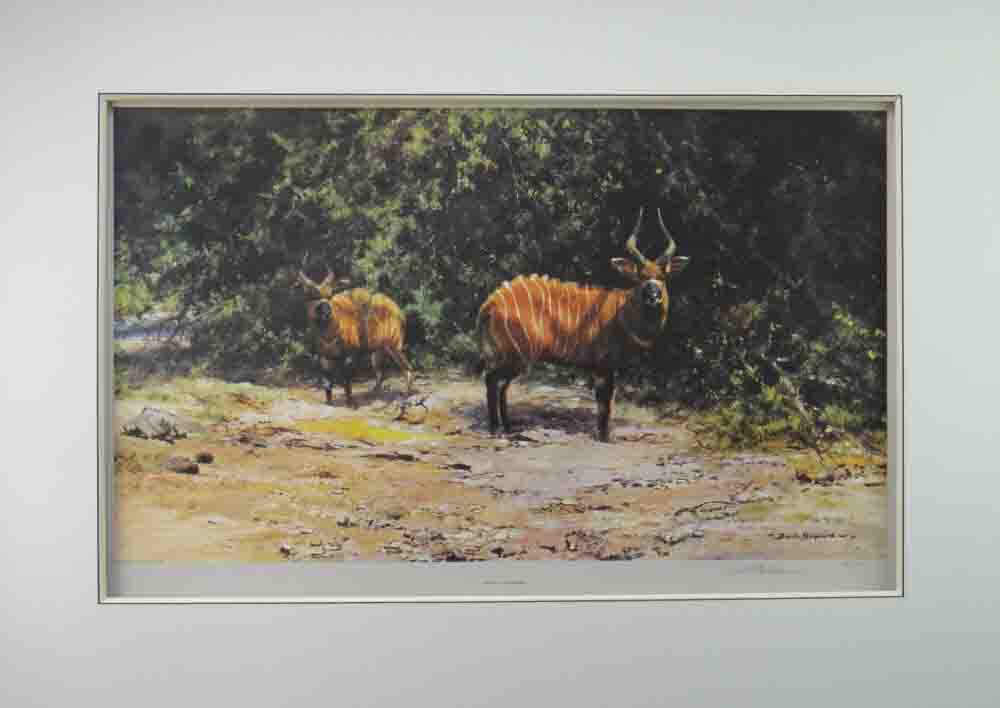 david shepherd african afternoon mounted