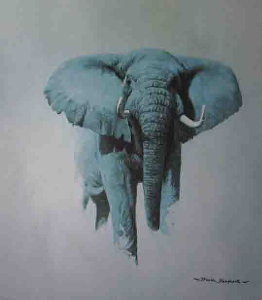 african bull elephant print david shepherd
