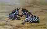 african children zebra