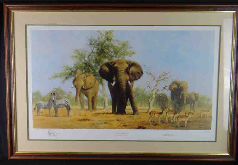 davidshepherd african landscape framed