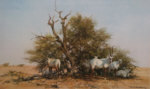 david shepherd arabian oryx print