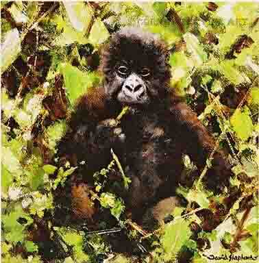 david shepherd baby gorillas print