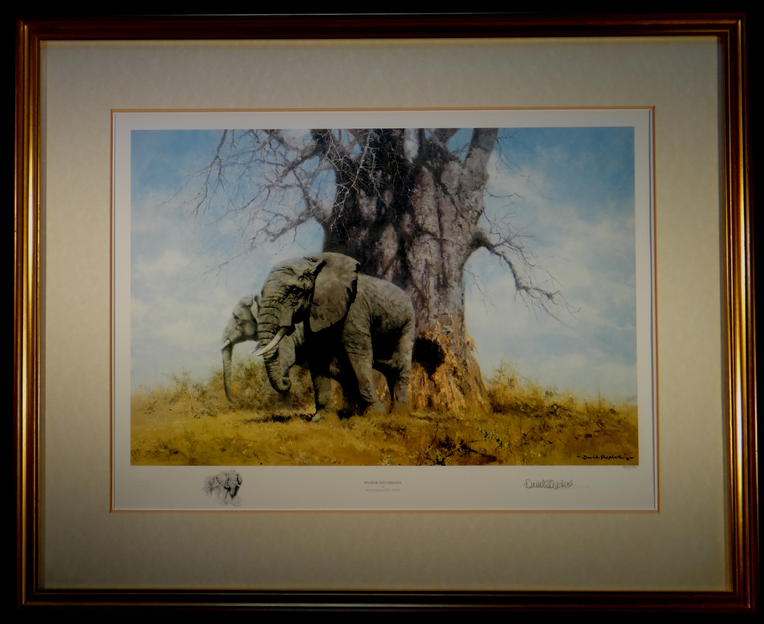 david shepherd baobab and friends print