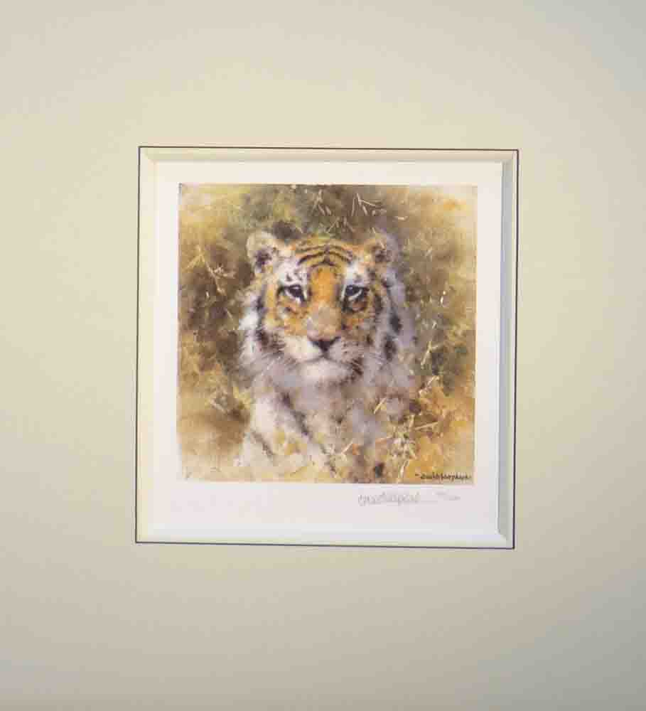 davidshepherd bengal tiger cameo mounted