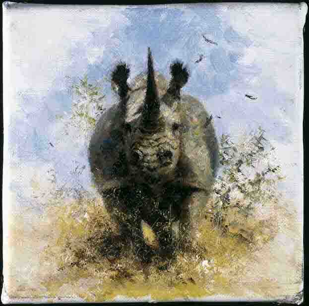 david shepherd  black rhino signed print
