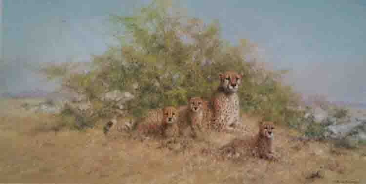 david shepherd cheetahs serengeti family print