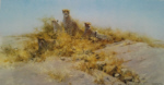 david shepherd cheetahs of namibia print