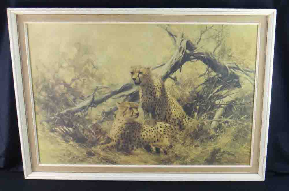 david shepherd  cheetahs poster framed print