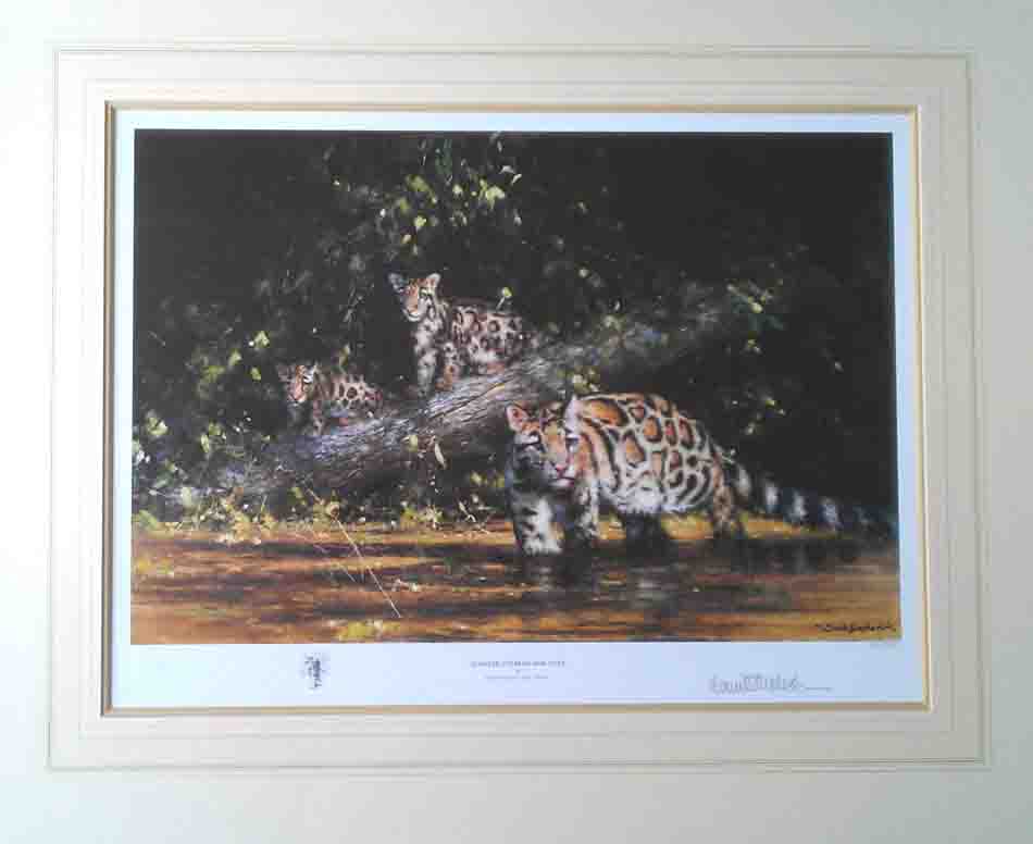 david shepherd Clouded leopard and cubs print