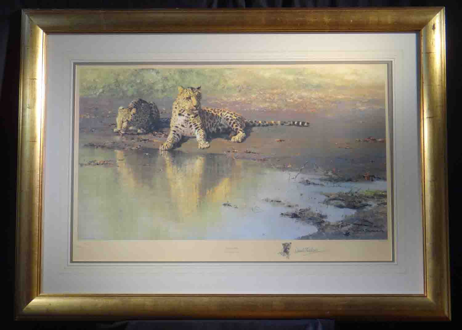 david shepherd cool waters, leopards