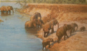 david shepherd crossing elephants print