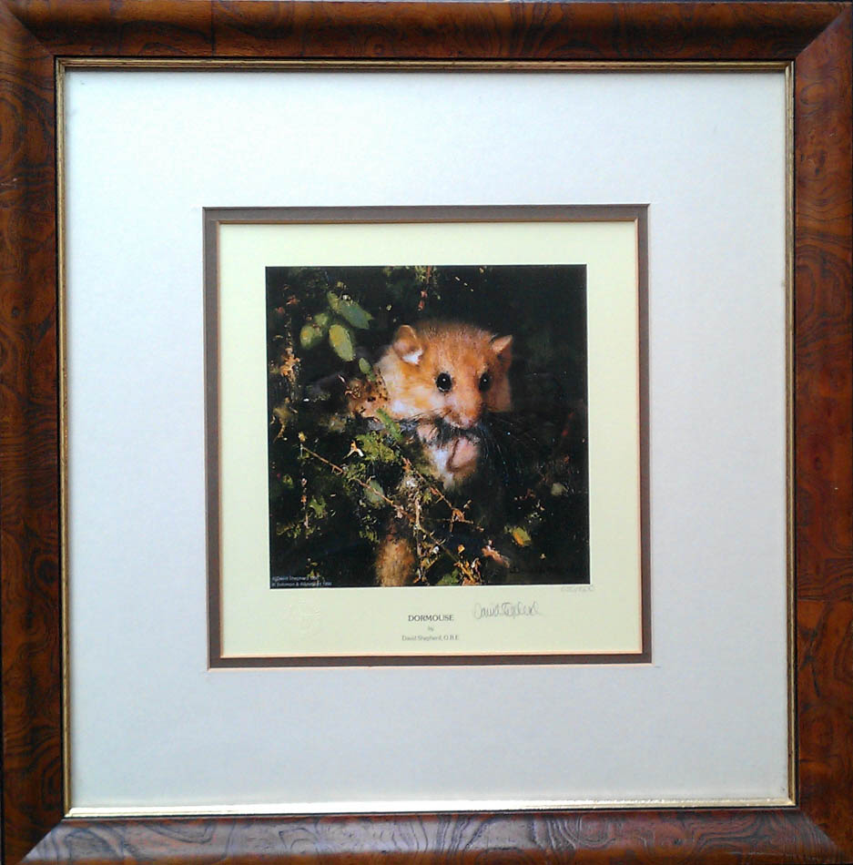 david shepherd,Dormouse, print