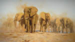 david shepherd dusty evening elephant silkscreen print