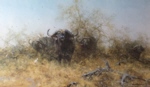 david shepherd buffalo print