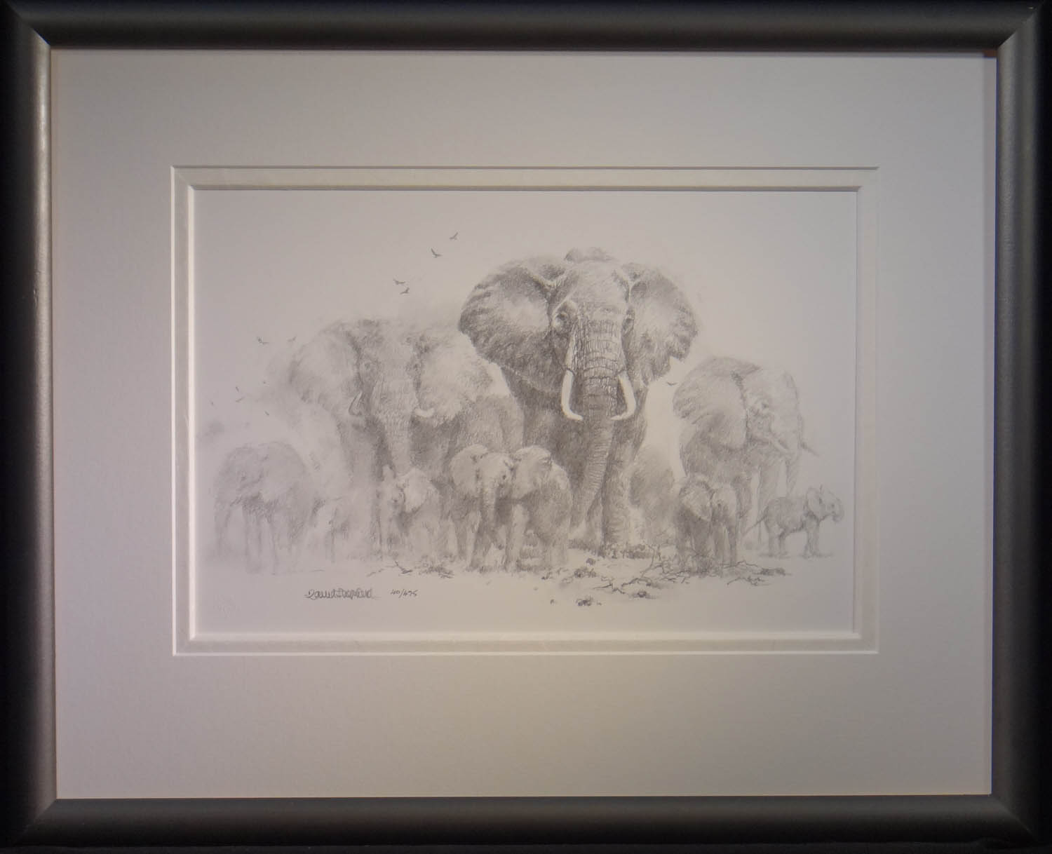 Elephant Drawing (edition of 475)