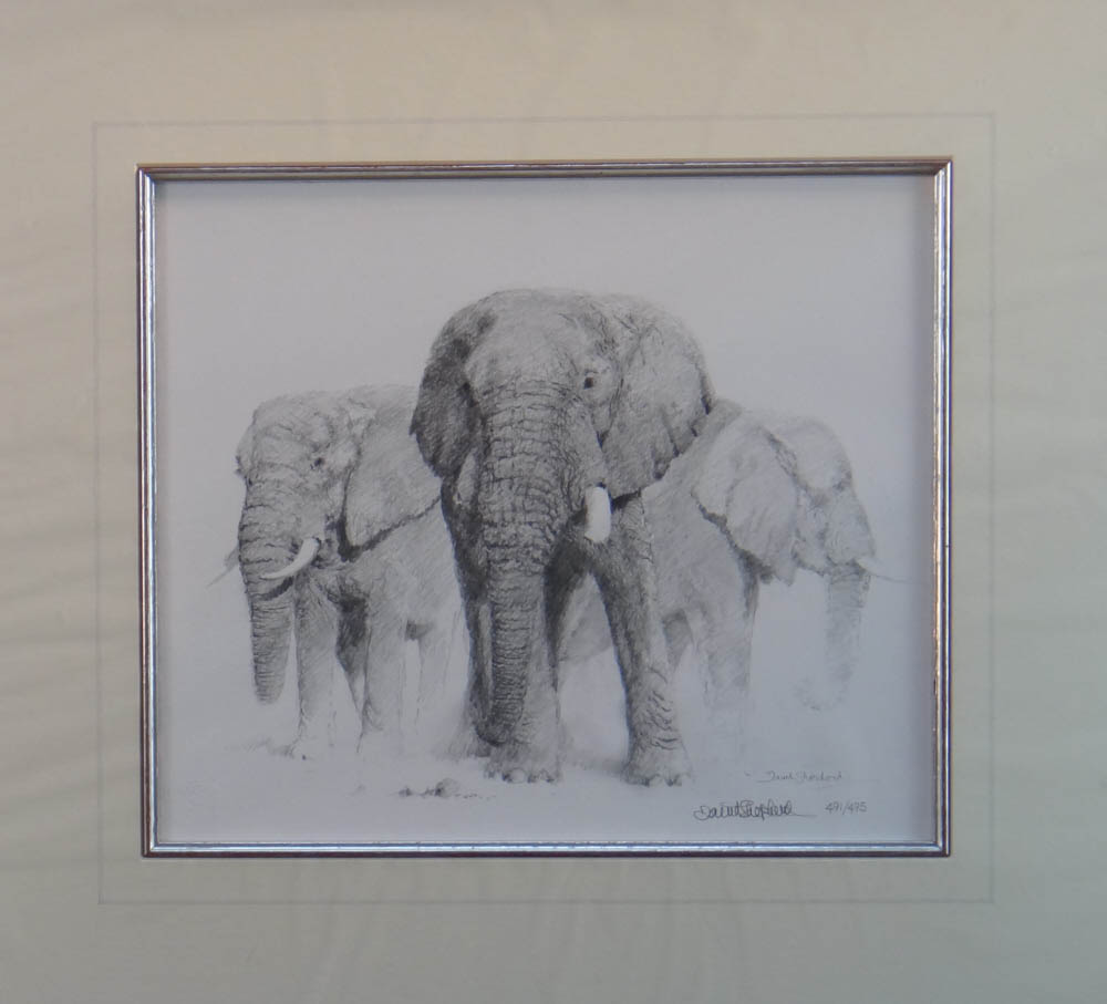 david shepherd  elephant pencil 1998