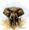 david shepherd elephant cameoelephants print