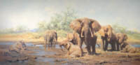 david shepherd elephant heaven elephants print