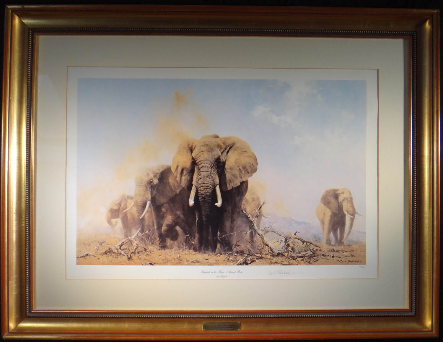 david shepherd, Elephants at Tsavo National Park