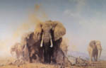 david shepherd elephants at Tsavo, elephants, signed, limited edition, print