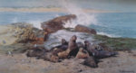 david shepherd elephant seals signed print