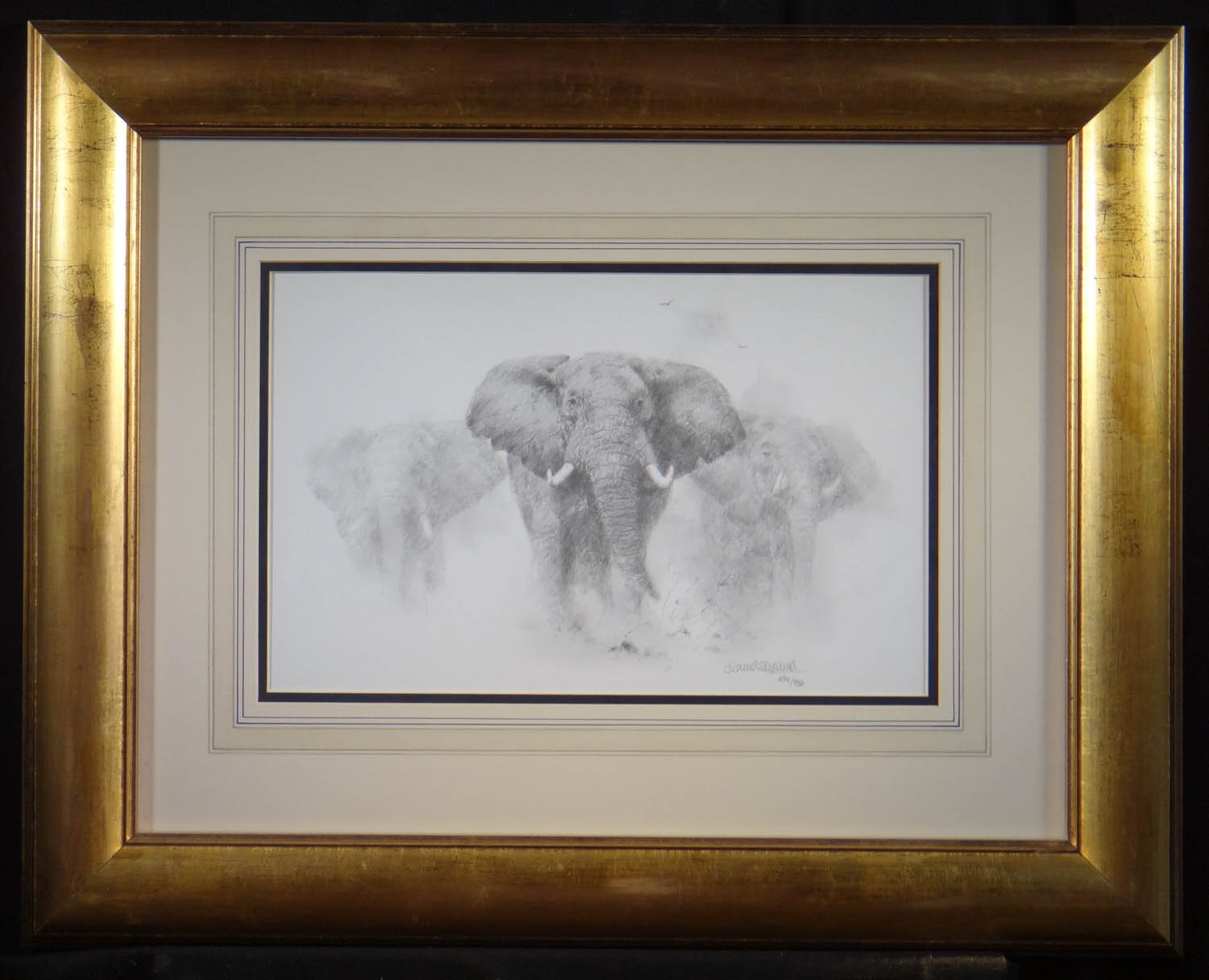 david shepherd, elephants pencil, sketch, drawing