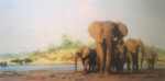 david shepherd Evening in Africa elephants, signed, limited edition, print