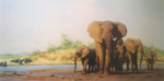 david shepherd evening in africa elephants print