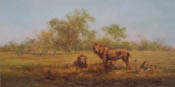 david shepherd evening in the luangwa lions print