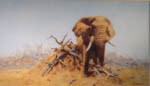 david shepherd gentle giant elephants, signed, limited edition, print