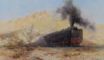 david shepherd city of Germiston, steam trains