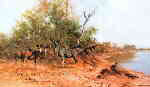 david shepherd greater kudu print
