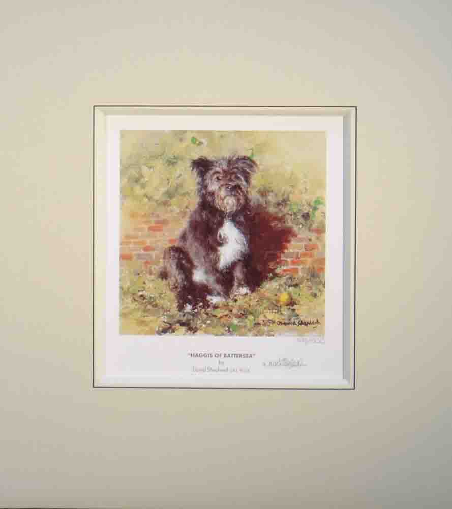 shepherd Haggis of Battersea dog signed print mounted