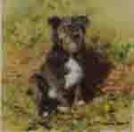 david shepherd haggis of Battersea dogs prints