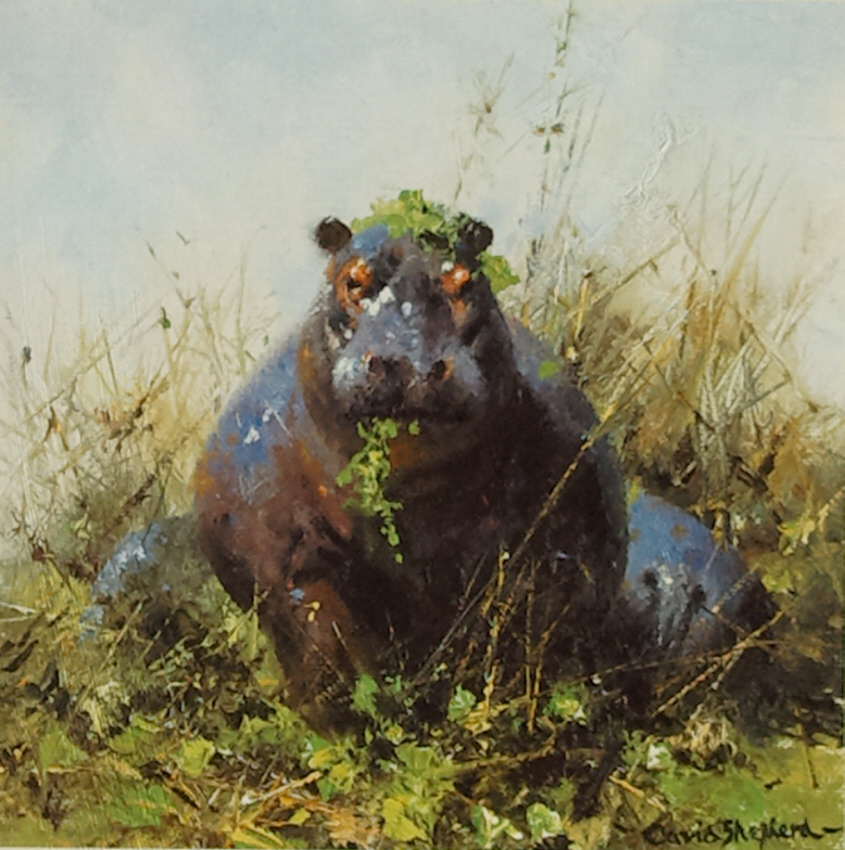 david shepherd happy hippo print