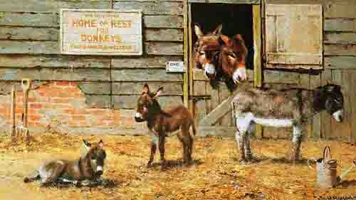 davidshepherd happy home for donkeys