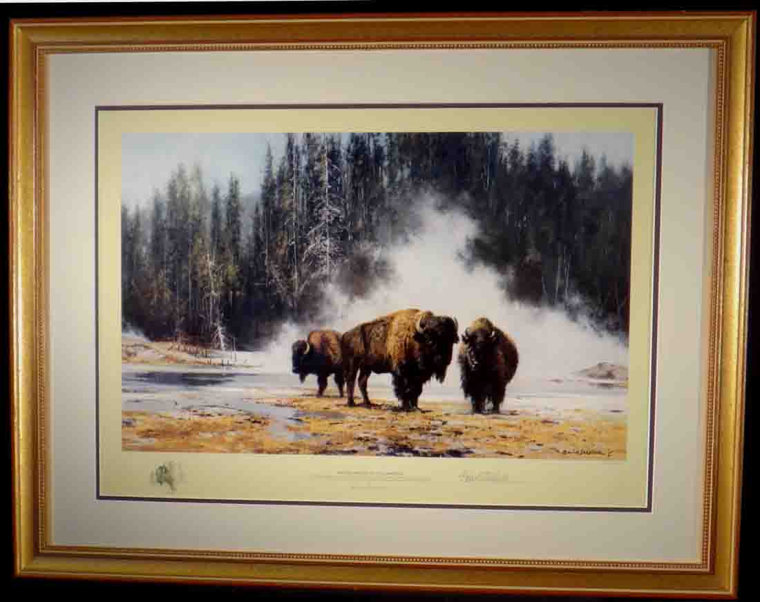 david shepherd, Bison, hot springs of yellowstone