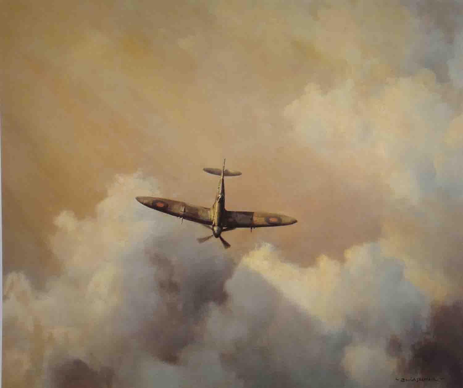 Immortal Hero, spitfire, aviation