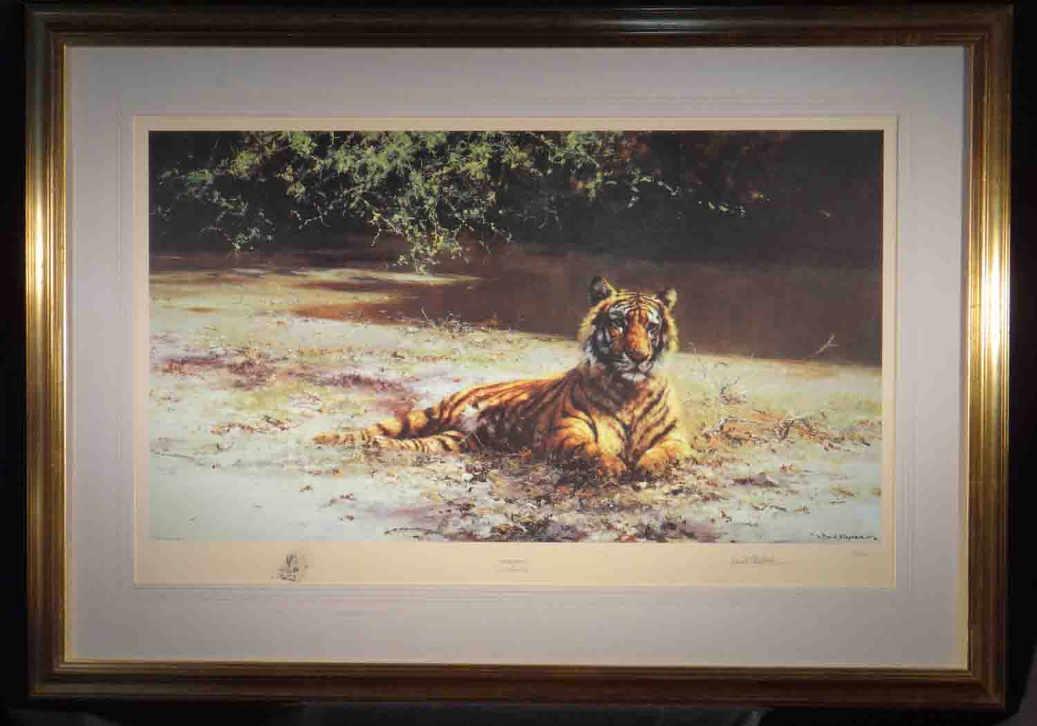 david shepherd, indian siesta, signed limited edition print