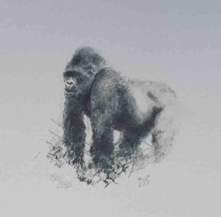 david shepherd in the mists of Rwanda, gorillas sketch, print