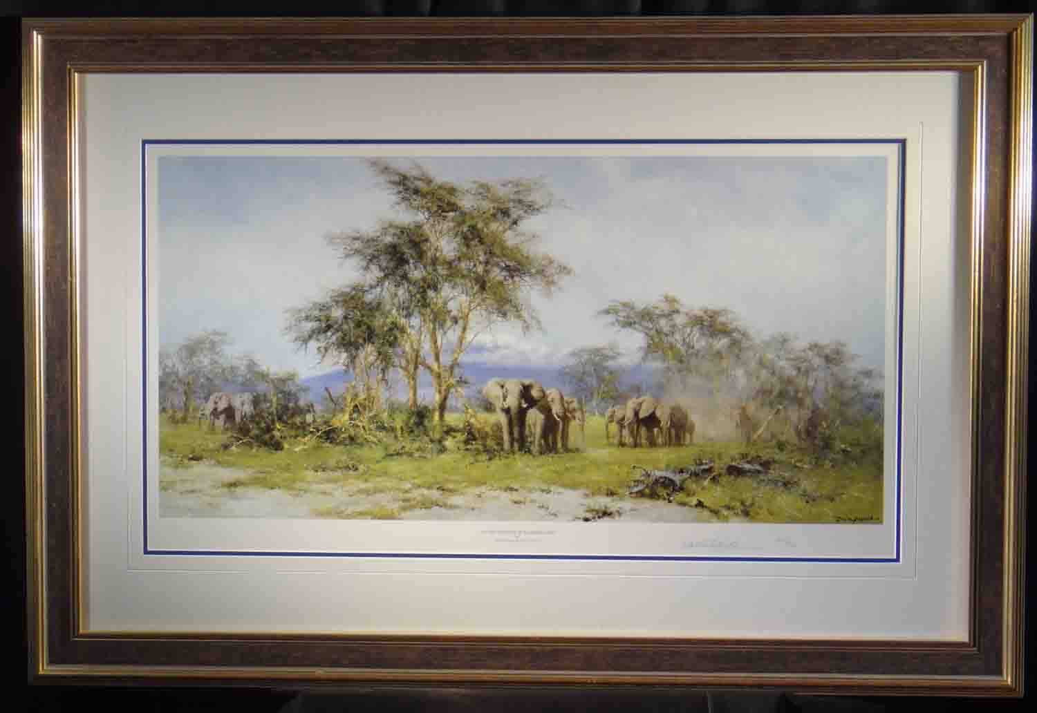david shepherd in the shadow of Kilimanjaro
