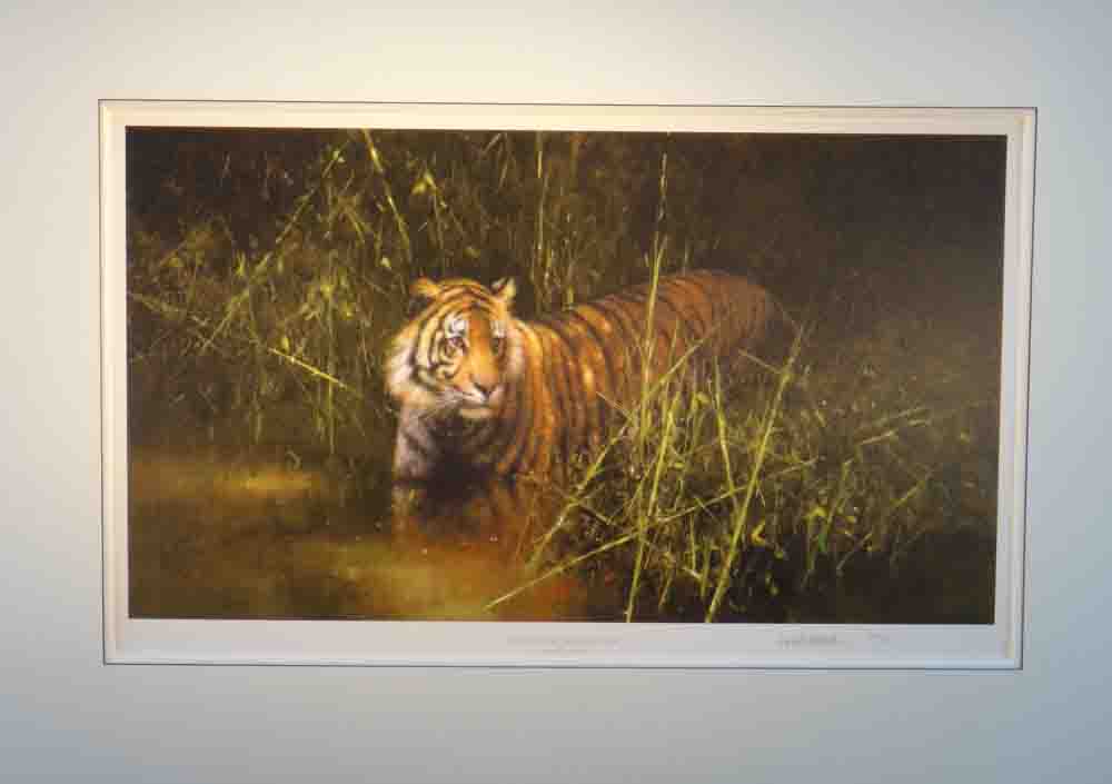 david shepherd  into the sunlight there came a tiger mounted