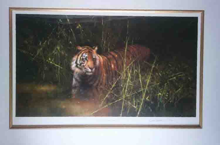 david shepherd  into the sunlight there came a tiger mounted