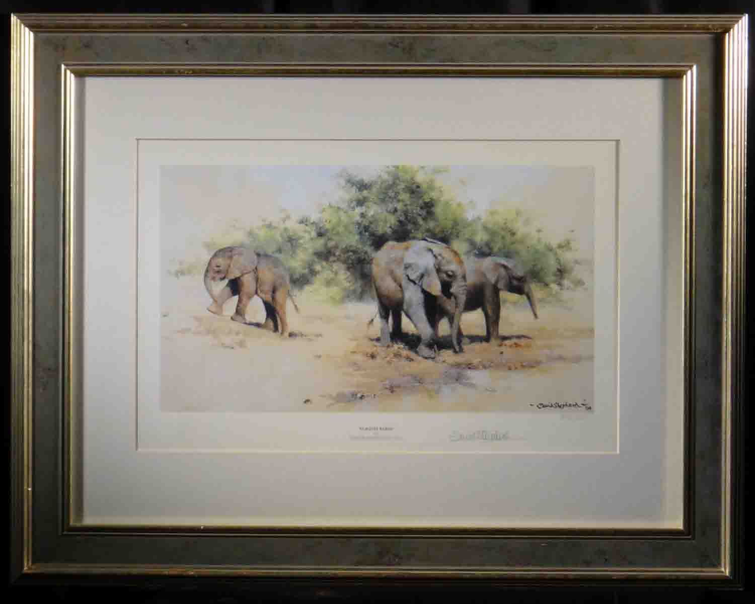 kilaguni babies framed