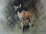 david shepherd kudu print
