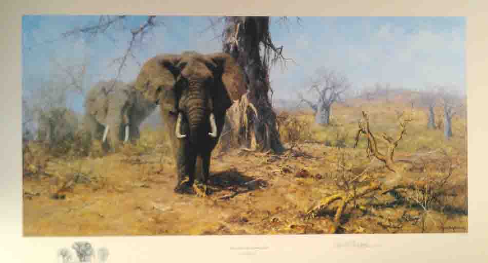 david shepherd land of the baobab trees print