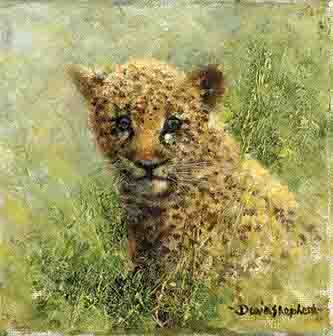 david shepherd  leopard cub, cameo print