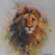 david shepherd lion cameo print