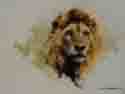 david shepherd lion head